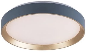 Rabalux 71185 - LED Stropné svietidlo LIATRIS LED/25W/230V 3000K pr. 38 cm