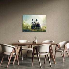 Sklenený obraz - Panda (70x50 cm)
