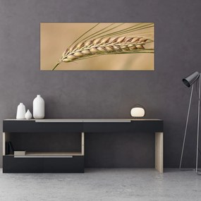 Obraz - Pšenica (120x50 cm)