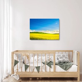 Sklenený obraz - Jarné nebo (70x50 cm)