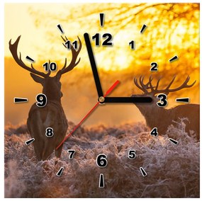 Gario Obraz s hodinami Jelene na lúke Rozmery: 30 x 30 cm