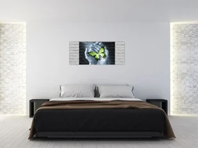 Obraz - Zelený motýľ v stene (120x50 cm)