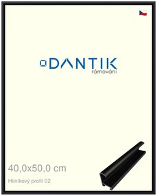 DANTIK rám na obraz 40x50 | ALU Černá matná (Sklo Čiré)