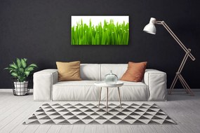 Obraz na plátne Tráva príroda rastlina 125x50 cm