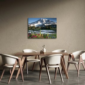 Obraz - Mount Rainier (70x50 cm)