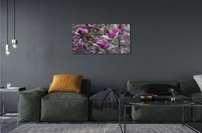 Sklenený obraz fialové magnólia 120x60 cm