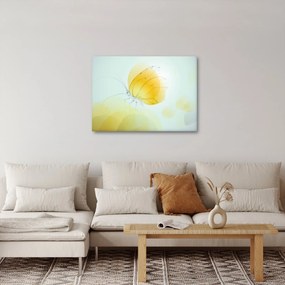 Obraz - Žltý motýľ (70x50 cm)