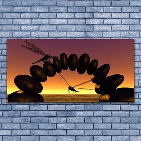 Obraz plexi Vážky kamene umenie 120x60 cm