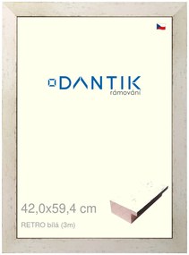 DANTIK rám na obraz 42x59,4 | RETRO bílá (Plexi Čiré)