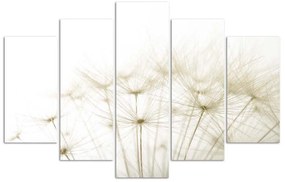 Obraz na plátně pětidílný Foukač Květina Příroda - 150x100 cm