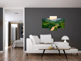 Obraz - Ryžové terasy II. (90x60 cm)