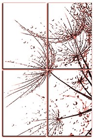 Obraz na plátne - Pampeliškové semienka s kvapkami vody - obdĺžnik 7202KE (120x80 cm)