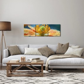 Obraz - Detail kvetu (s hodinami) (90x30 cm)