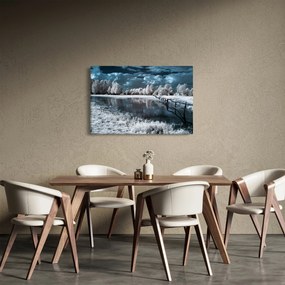 Obraz - Zamrznutá krajina (90x60 cm)