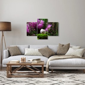 Obraz - Slimáková ulita (90x60 cm)