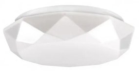 LED Stropné svietidlo SELINA LED/12W/230V