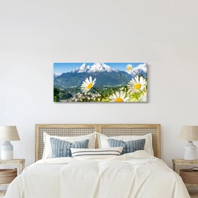 Obraz - Jar v Alpách (120x50 cm)