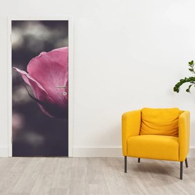 Fototapeta na dvere - Detail kvetu ruže (95x205cm)