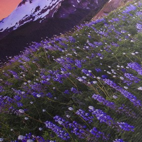 Obraz - Sopka a kvety (90x60 cm)