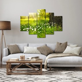 Obraz paseky a kvetín (150x105 cm)