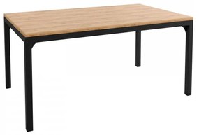 Konferenčný stolík Eptonis 1, Farby: čierna / dub craft zlatý