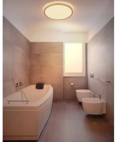 Globo 41562-24MM -LED Stm. kúpeľ. strop. svietidlo SAPANA LED/24W/230V IP44