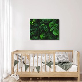 Sklenený obraz listov Monstery (70x50 cm)