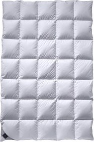 XXXLutz CELOROČNÁ PRIKRÝVKA, 140/220 cm, páperie Billerbeck - Prikrývky & vankúše - 003279008302