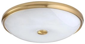 Rabalux - LED Stropné svietidlo LED/24W/230V RL5196