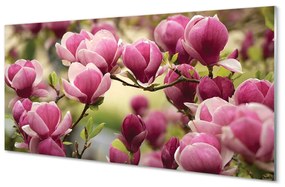 Obraz plexi Kvety 125x50 cm