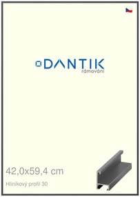DANTIK rám na obraz 42x59,4 | ALU Dýha barevná šedá tmavá (Plexi Čiré)