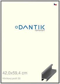DANTIK rám na obraz 42x59,4 | ALU Dýha barevná šedá tmavá (Plexi Čiré)
