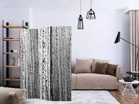 Paraván - Birch forest [Room Dividers] Veľkosť: 135x172, Verzia: Akustický