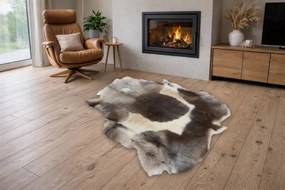 Koberec RENIFER POK019 hnedý