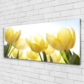 Obraz plexi Tulipány kvety lúče 125x50 cm