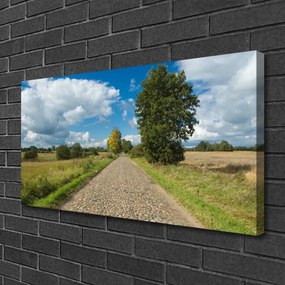 Obraz na plátne Dedina cesta dlažba krajina 140x70 cm