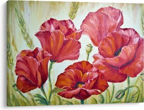 Obraz - Kvety vlčích makov (70x50 cm)