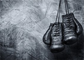 Obraz - Boxerské rukavice (70x50 cm)