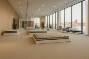 Lentex, PVC podlaha - lino Flexar PUR 603-02 šedá, na mieru, šíře 2m,4m, šedá, bez podkladu, kancelária