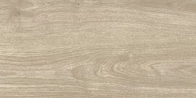 Dlažba Multi Salem sivá 30x60 cm mat SALEM36GR
