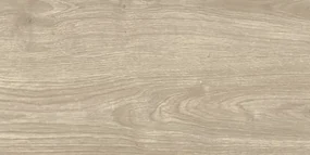 Dlažba Multi Salem sivá 30x60 cm mat SALEM36GR