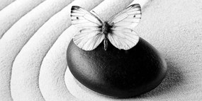 Obraz Zen kameň s motýľom v čiernobielom prevedení - 100x50
