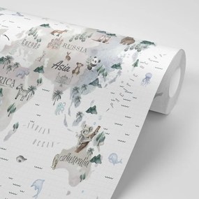 Samolepiaca tapeta minimalistická mapa so zvieratkami - 450x300