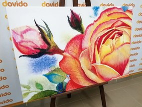 Obraz ruže v ružových odtieňoch - 60x40