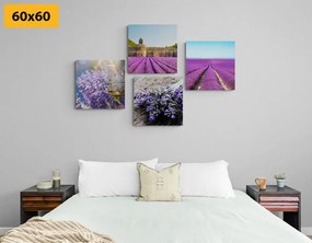 Set obrazov krásna levanduľa - 4x 60x60