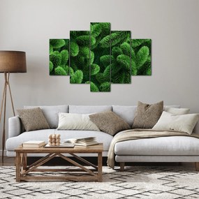 Obraz - Vetvičky ihličnanu (150x105 cm)