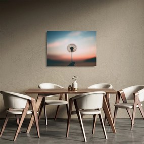 Sklenený obraz - Držím ťa, púpava (70x50 cm)
