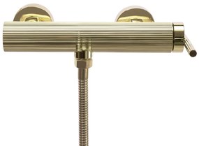 Rea Argon, sprchová batéria bez príslušenstva, zlatá lesklá, REA-B7807