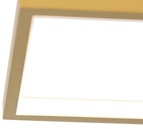 Stropné svietidlo zlaté vrátane LED 3-stupňové stmievateľné 4-svetlo - Lejo