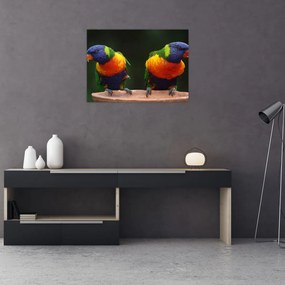 Obraz papagájov (70x50 cm)